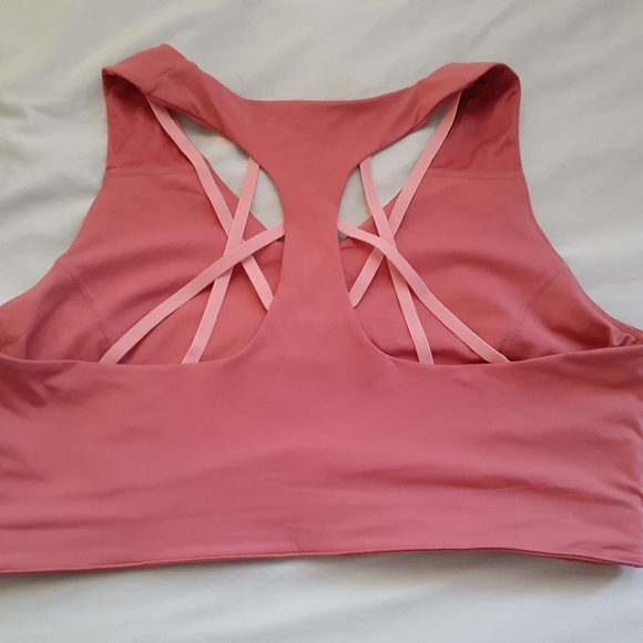 Fabletics Other - Fabletics sports bra. Plus 4X